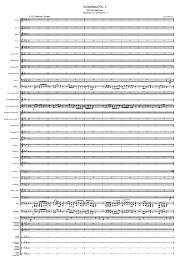 Szimfónia No. 1 - fúvószenekarra - (Partitúra)