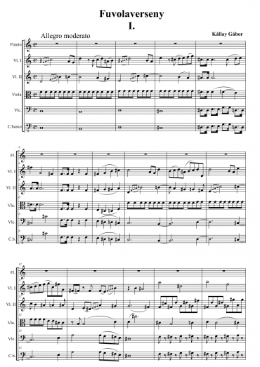 Flute Concerto op. 39
