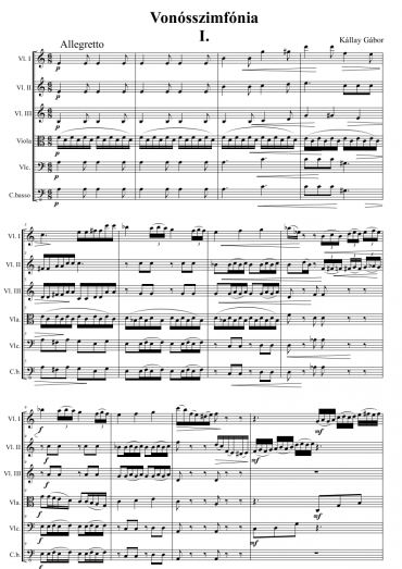 Symphony for String op. 45